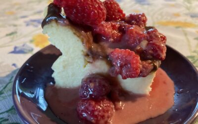 Cheesecake without bottom