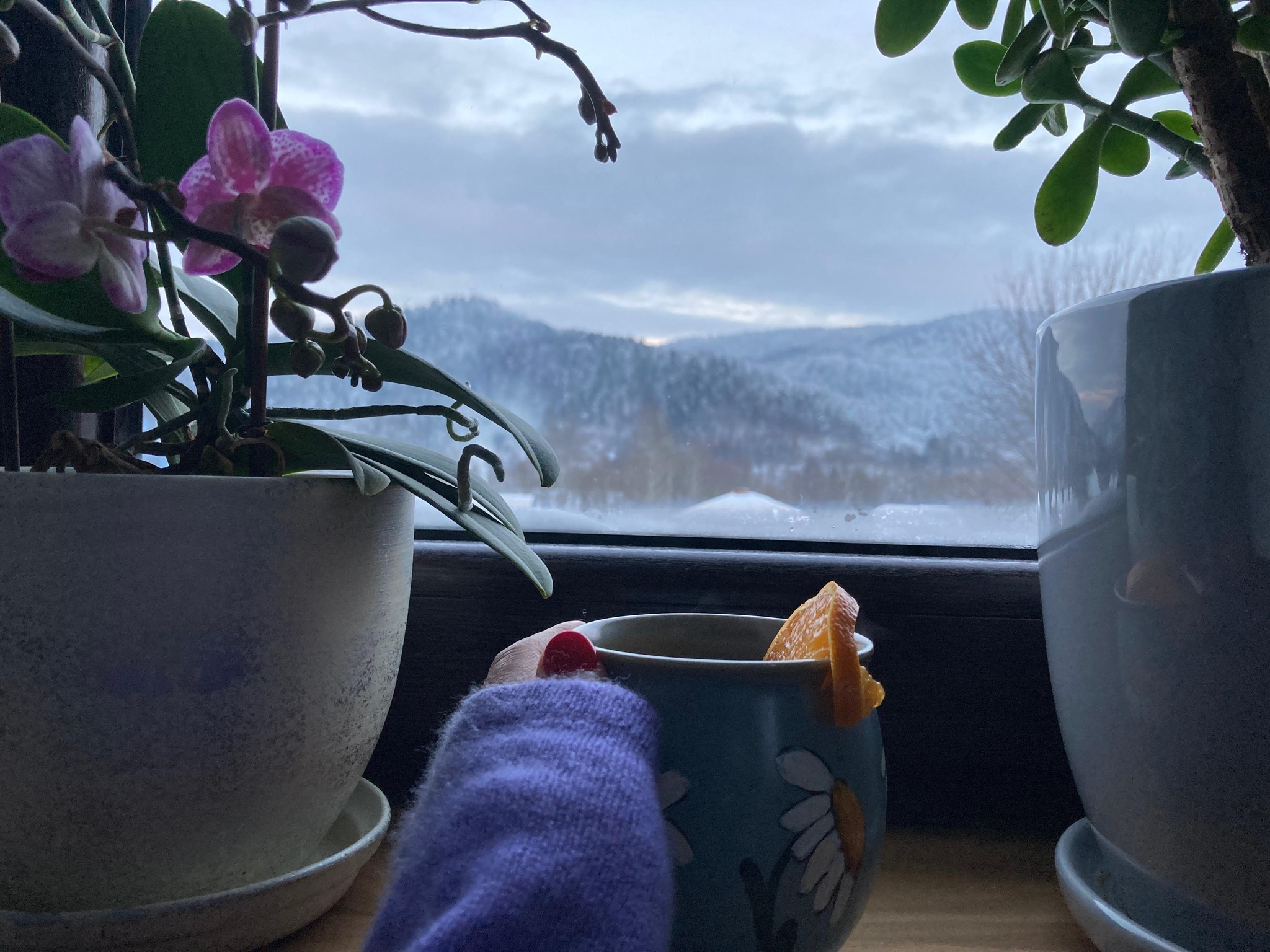 A mug hand-painted with daisies